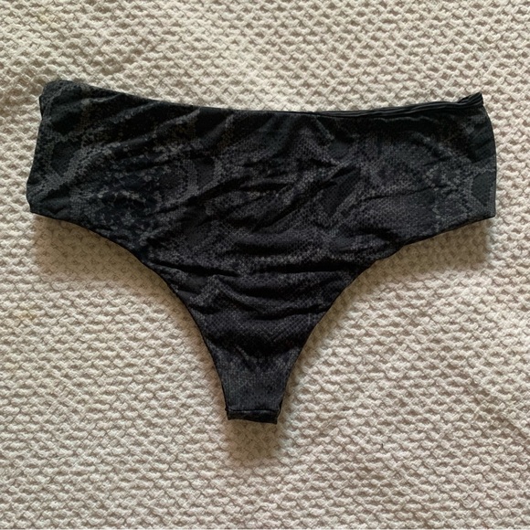 Acacia bikini - Picture 3 of 4